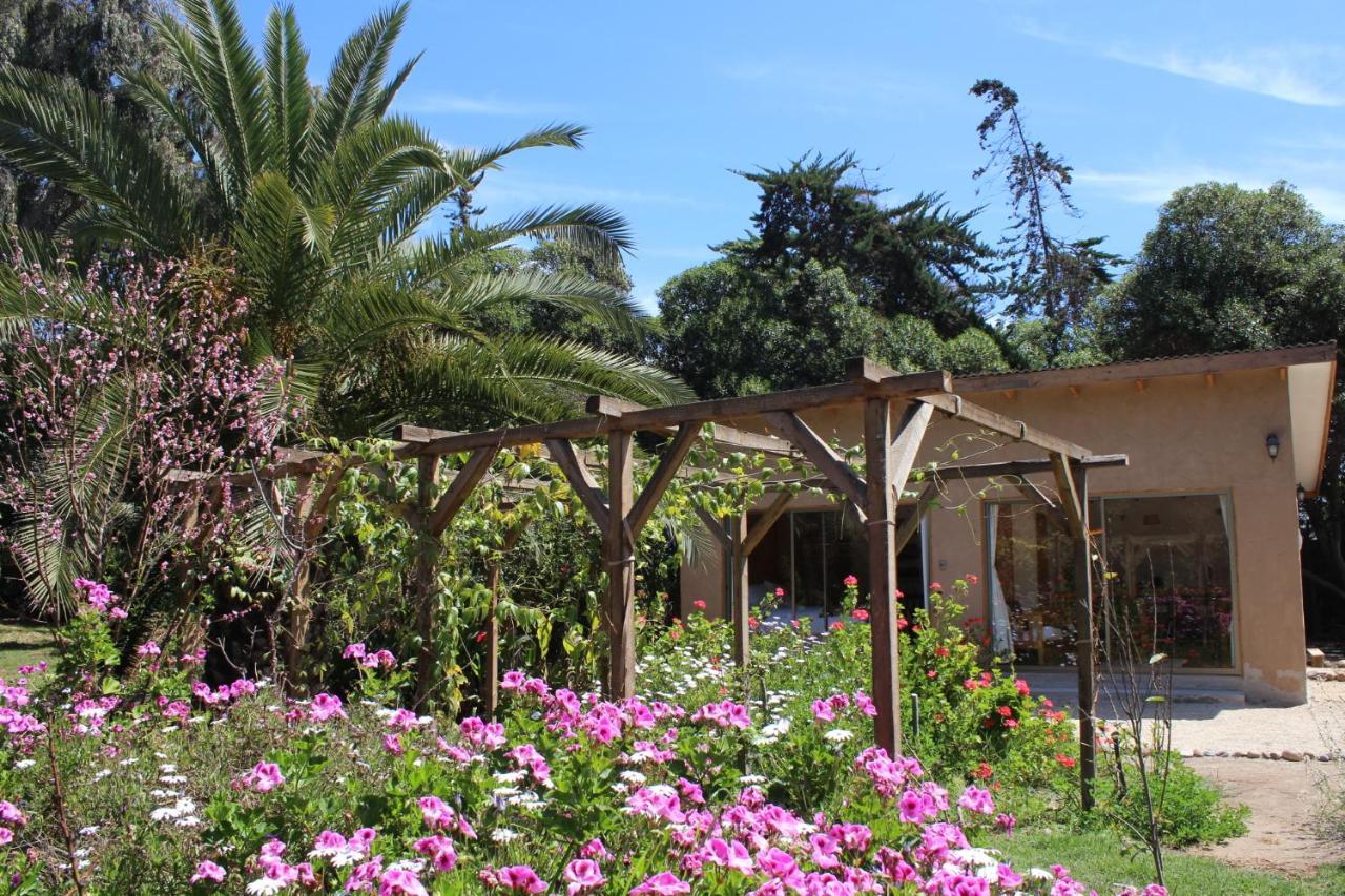 El Arbol Eco Lodge La Serena Exterior photo